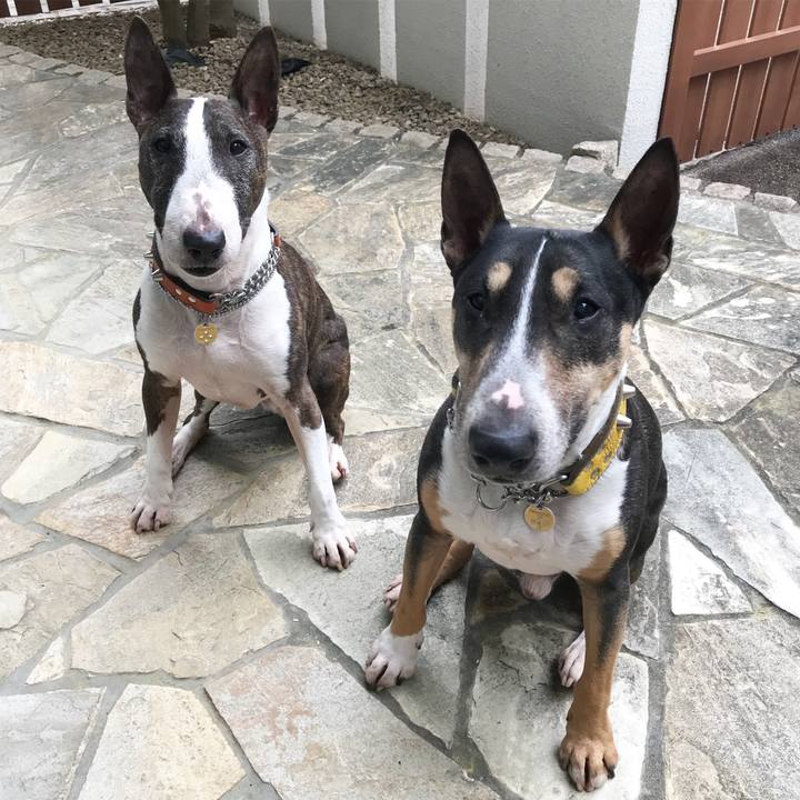 5834ef6f 765c 4c36 a446 83e342f68662 1523087573666