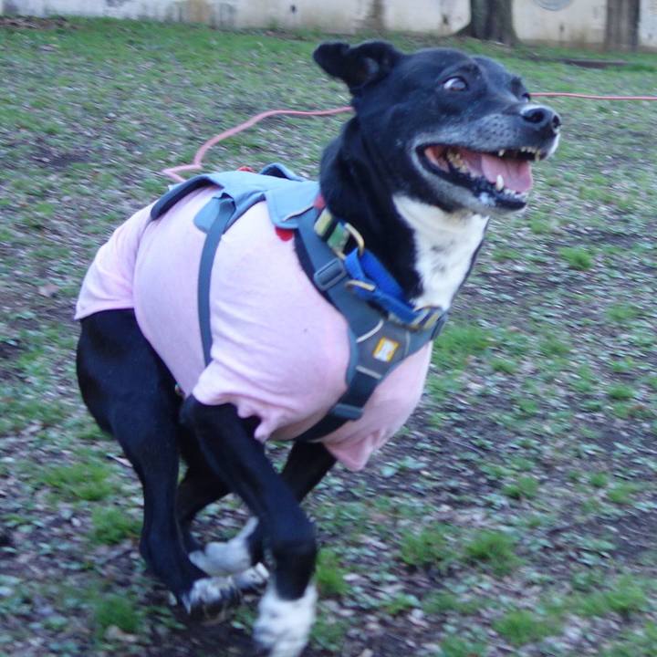 58350bb0 3e7a 4941 a7bb 4c5fae2f8758 1709342260851