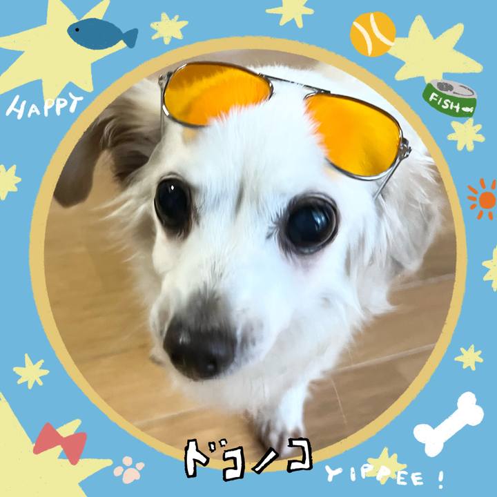 58351d51 5eaf 4e84 8d67 c8296c4465e8 1721094399078