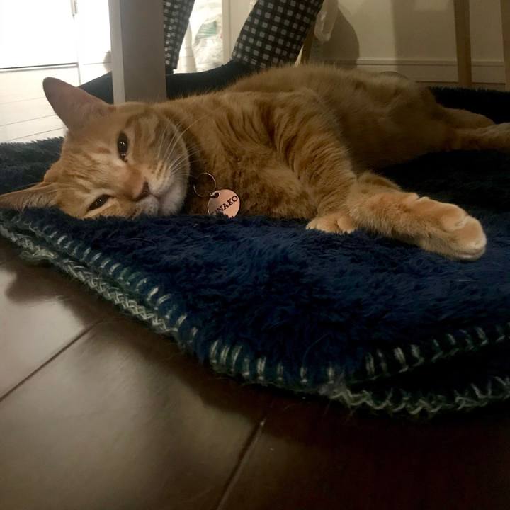 58352807 cb90 4132 b7b2 e6f15c52be66 1542976466458