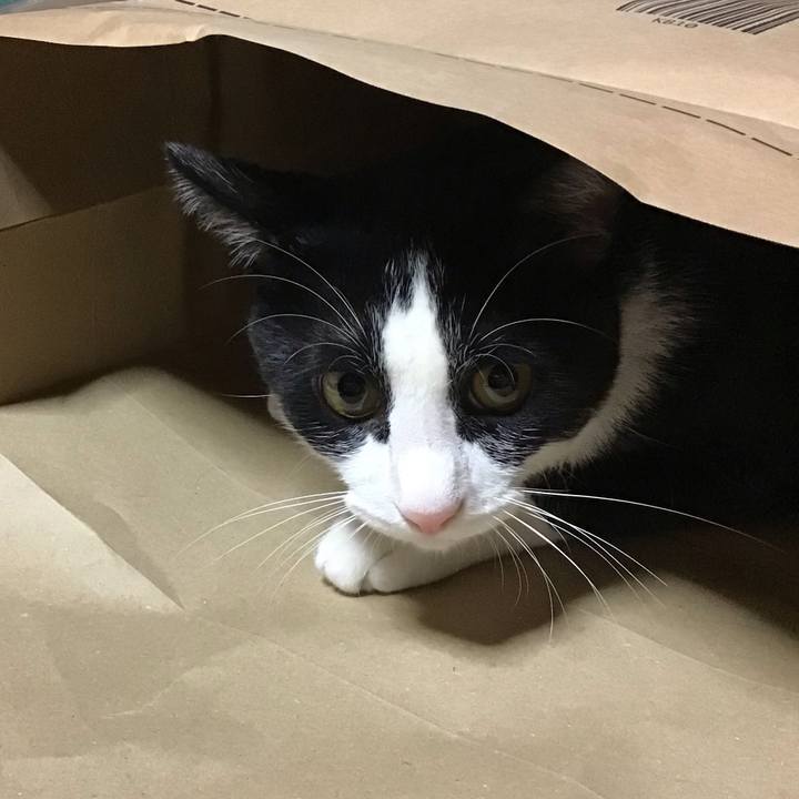 58352c01 5617 4176 ab03 8f210cb65583 1658657069532