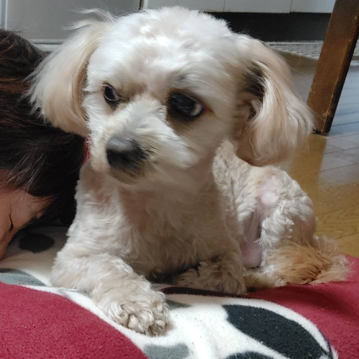 58356e09 133a 4d02 84d1 ddee2e0fecbd 1646107971278