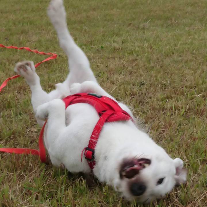 583581b4 7618 482b 8ae4 f638fb5385ad 1563751564056