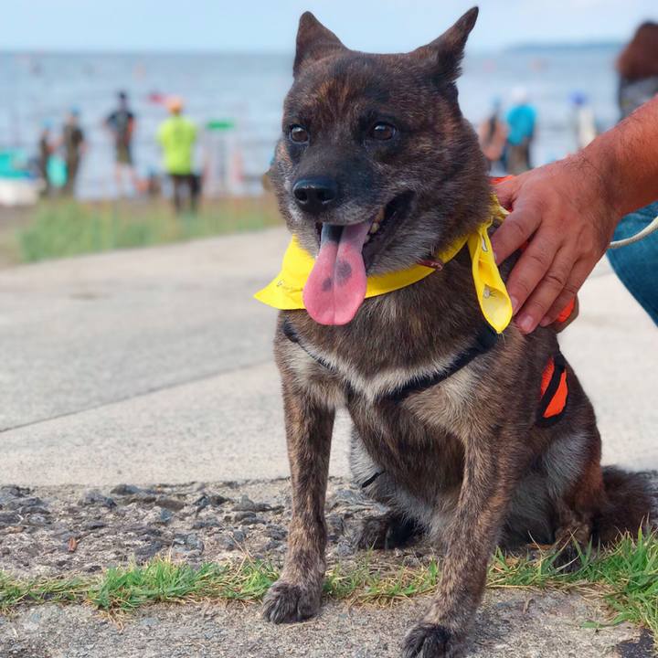 58358fc0 2eeb 4852 87e6 9d1bedf3aa95 1567292877599