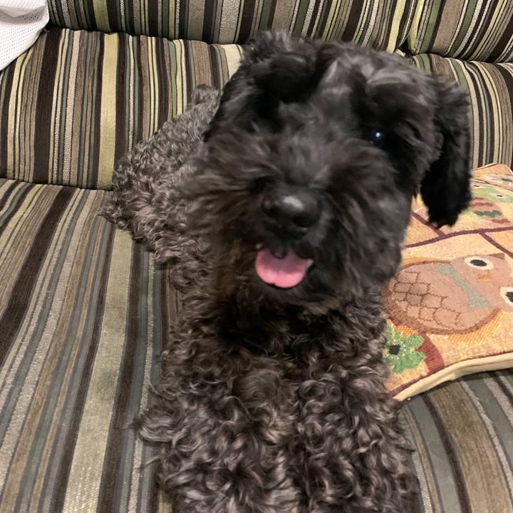 58359b09 cf06 4e33 9fbf 3bfb925210f3 1602192293507