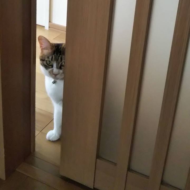 5835a2d7 e74f 4f72 94fd 2f9d836199b2 1720242844319