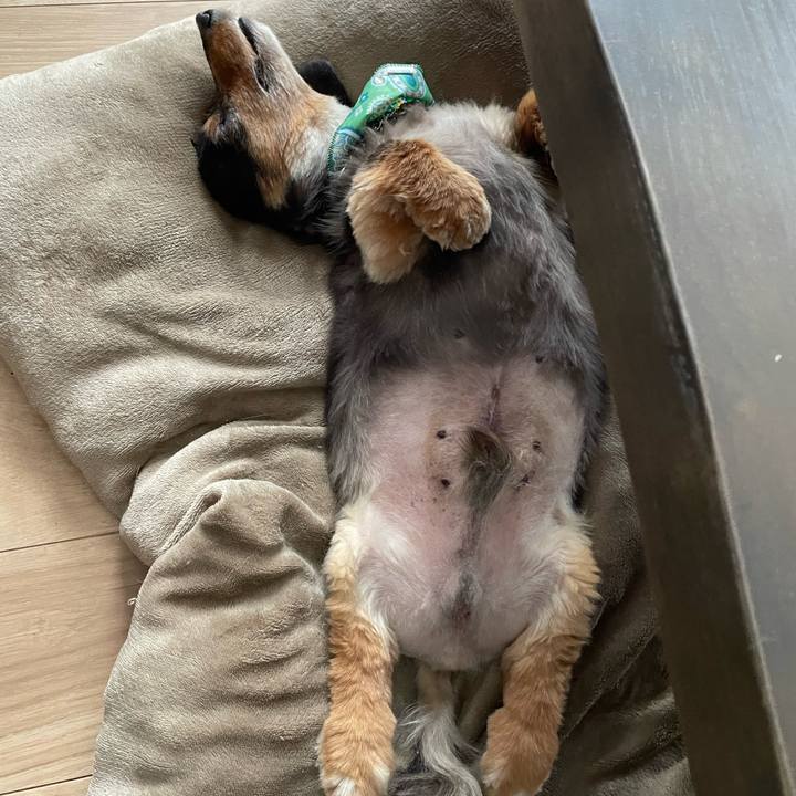 5835d93e e3a9 48df 812f 7a1ccdba8b48 1685159698214