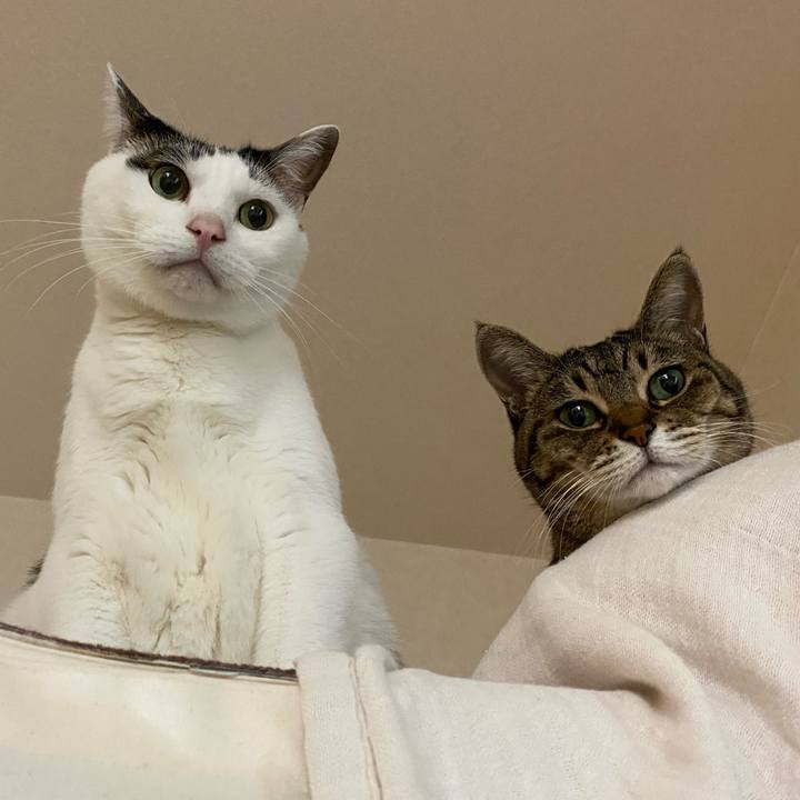 5835da0a 02c9 40e2 9a09 97fac161f638 1767939376555