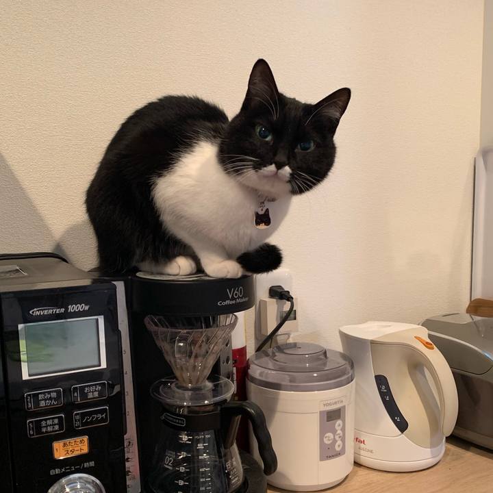 5836091b 4599 4dc6 b140 4d8f44efa134 1548057007703