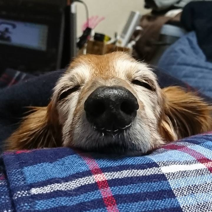 58361d94 cb24 4137 be74 ee7df53433f8 1518236095434