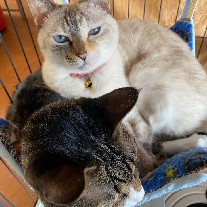 58365016 77cd 440c bac0 510bc4884e5f 1761445620154