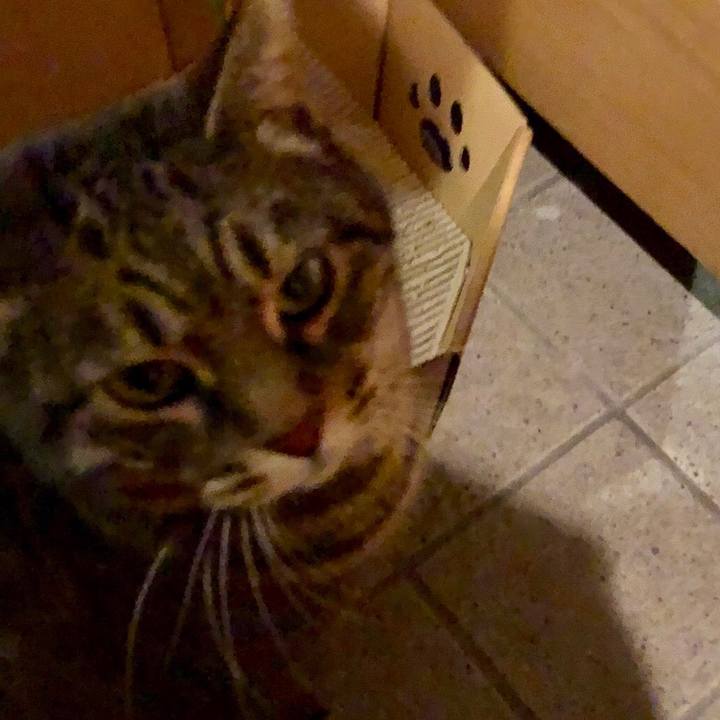 5836bfec 8bb2 4ce8 9739 173431c8298d 1547460072455