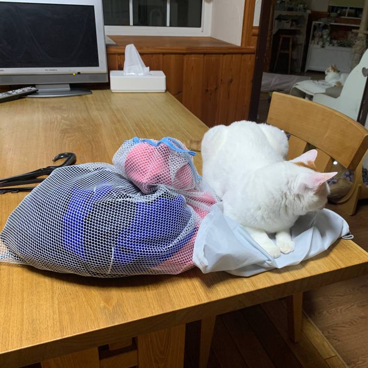 5836e6dd 6b34 41d0 a3d0 e3104c5b9e45 1656462157870