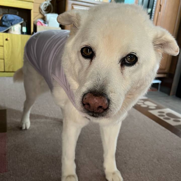 5836f467 0276 4c76 9405 4d4ae2511100 1765068580936