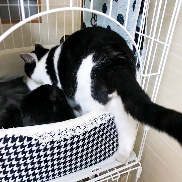 5837023e 043c 4353 8da7 7ee0ce90db43 1517622842133