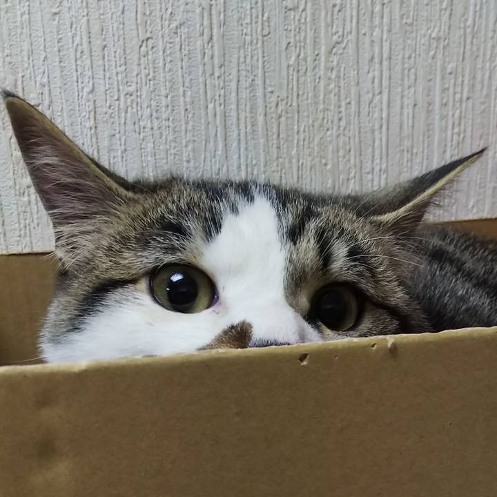 583718ce 14d9 4ac2 82d0 081bb2923a49 1616073829620