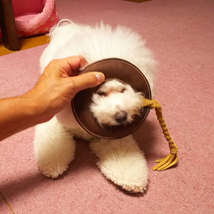 583742da 79ac 4417 a439 1c3b76ef833e 1539078044766