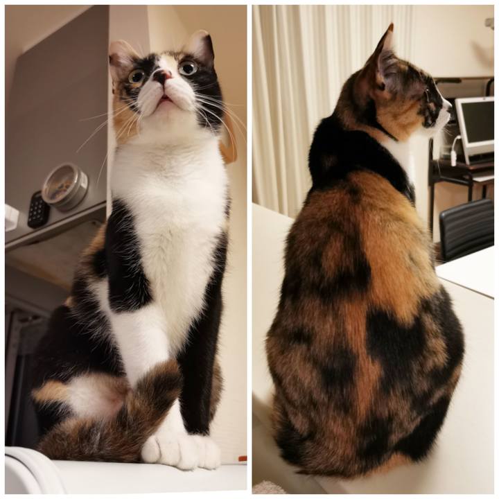 5837d328 d98a 4b57 8420 20c1cd3cdcec 1606967382455