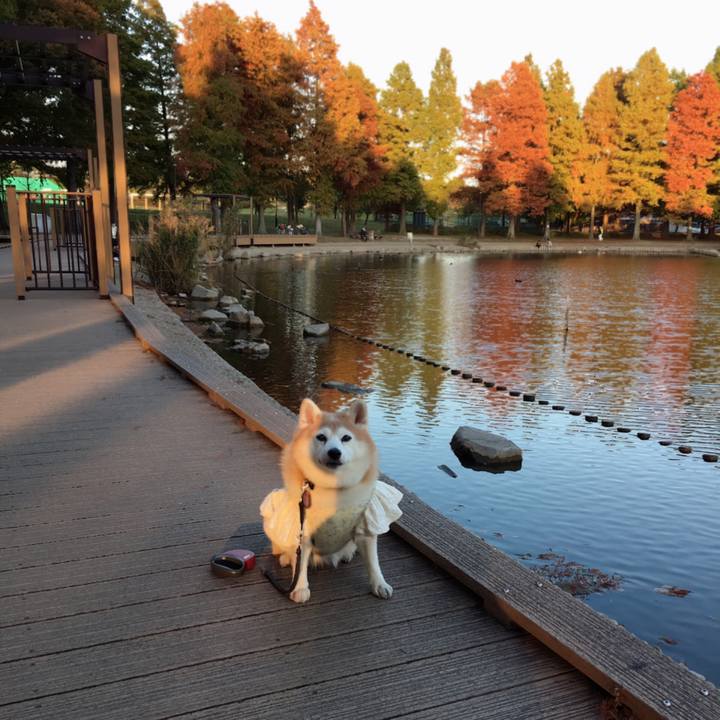 5837d574 2ef2 4ae8 90b7 d16f9e838179 1605094308207