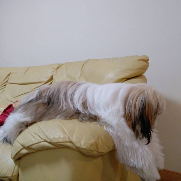 5837d7cd 1251 4f15 b166 4eaecf610531 1544593547422