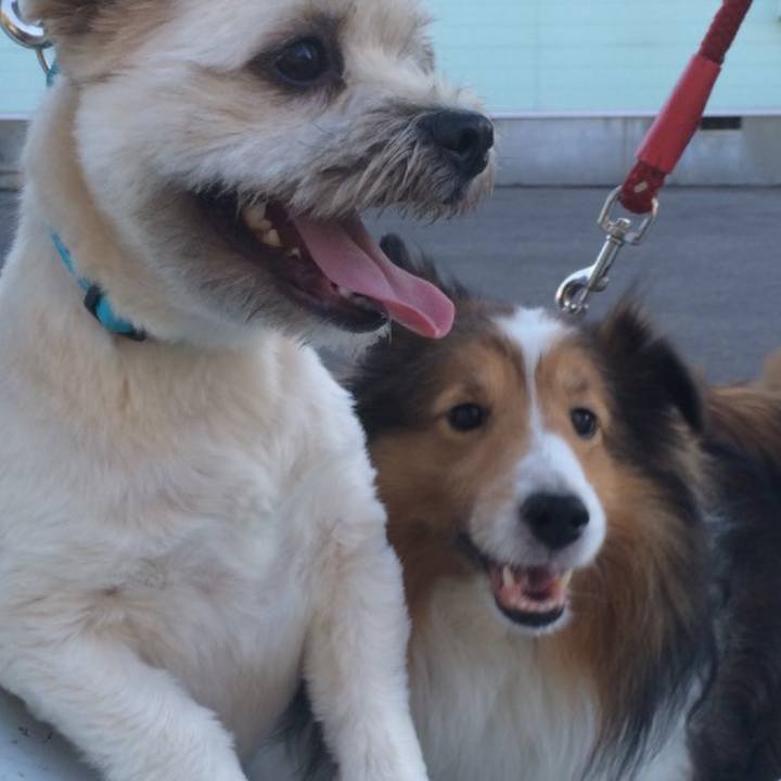 5837d8a2 8a5d 45bf 9cfb 514f33a074f1 1758785051981