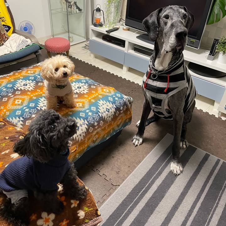 583803df e2e1 4a06 a99b b2223379d094 1649027725302