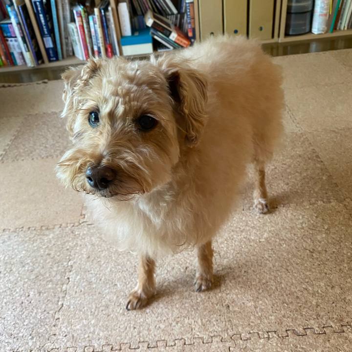 5838230c c09d 4797 84e8 3c1dc0c5b78a 1685235198652