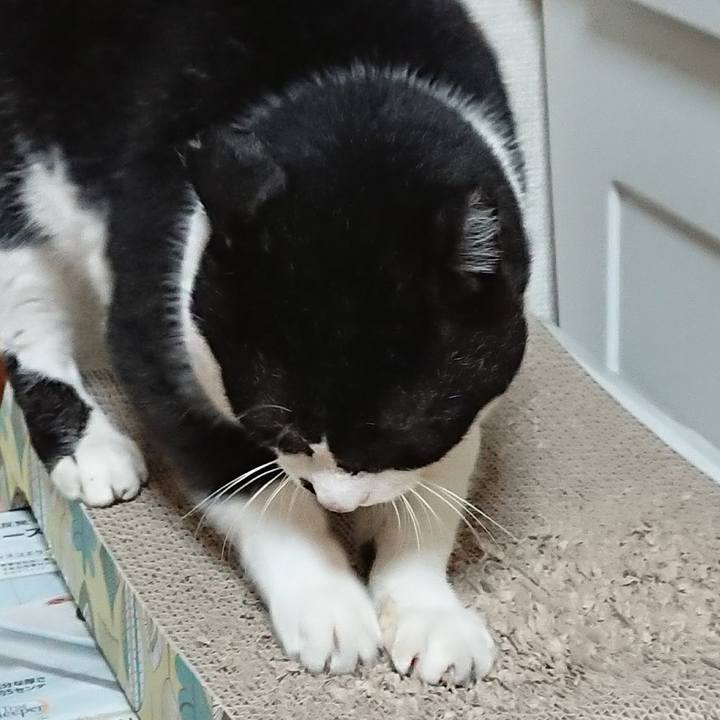 5838258b ee6c 4961 94ac 6f4998e990f4 1668498042917