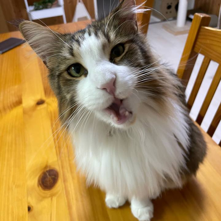 58384ac5 5ef4 4bd0 ab99 50ec8d97994c 1671132754251