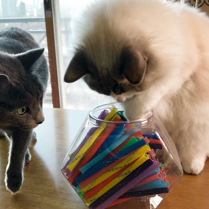 58385ad0 8e74 444e 9495 87ba705c5a39 1577429183341