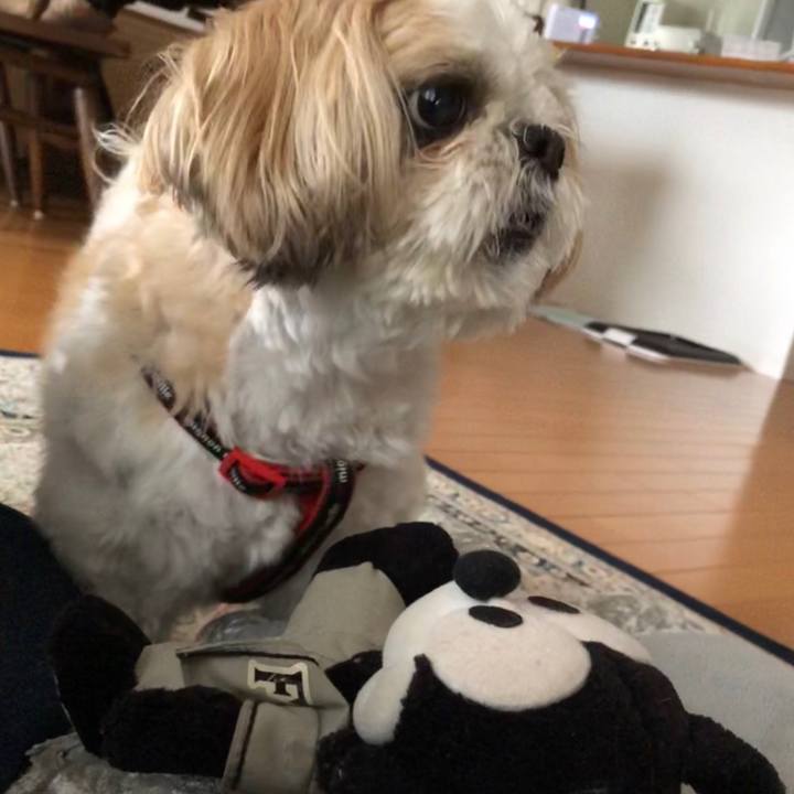 583883b9 48d8 4998 991c 0f3a5e577190 1562881621347