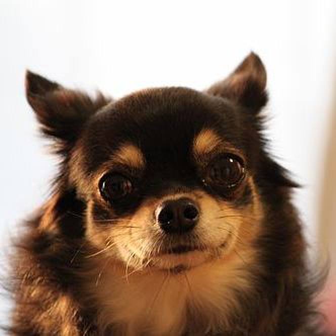 583898fa d965 48f1 a8bb af0b667d3ba3 1541839556394