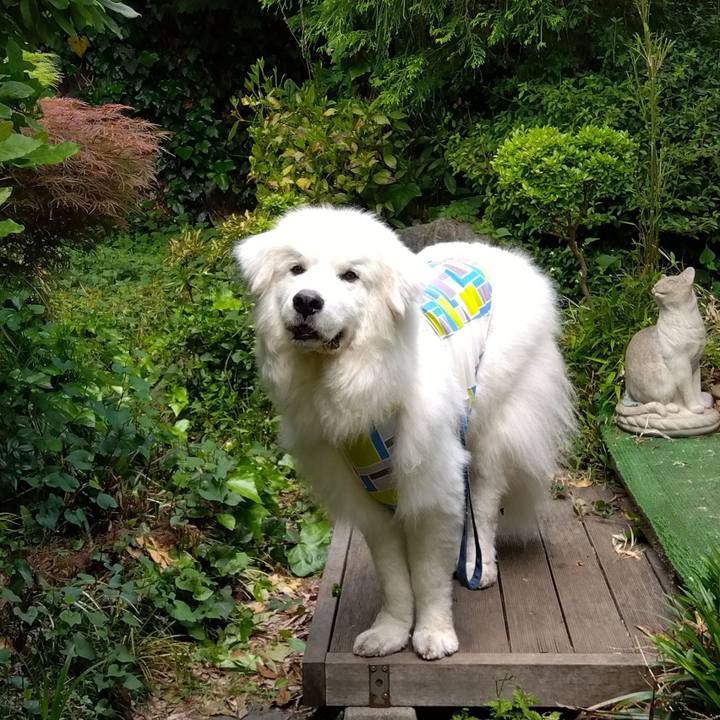 58389af3 b7e1 4e0d 90bf ce63d833f2cf 1683803398816