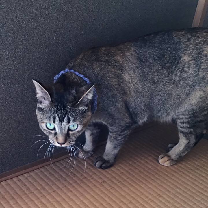 5838aa1e 2731 46ef 9aec ba58a518e248 1616735530388