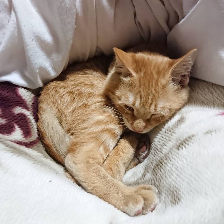 5838b36d 11b4 4192 affa a6aa71d64b7d 1635079708614