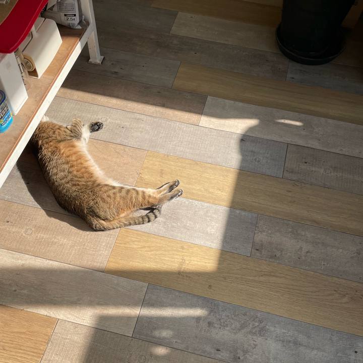 5838bcbc d59a 4a0e 83bf b0febeca7017 1740273970639