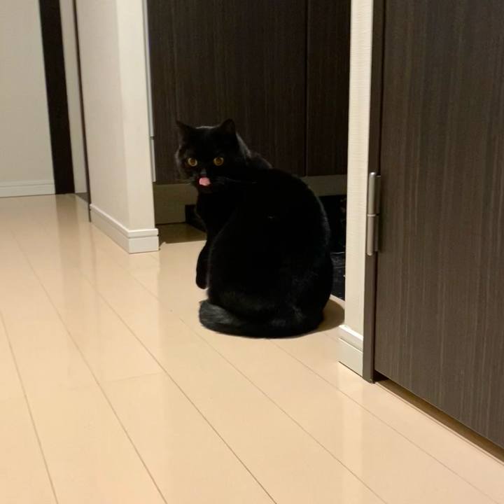 5838c2e7 411a 4a7d ba8a baf2605d77a6 1771241485694