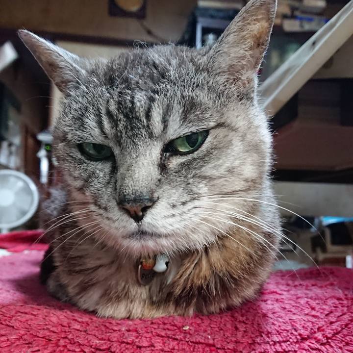 5838c3b9 6edc 421b a2f3 fafdb3e00a11 1566424283974