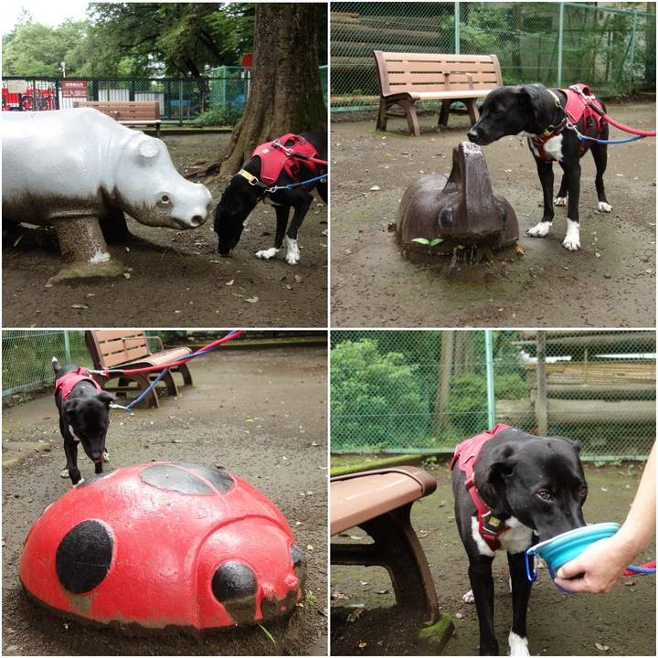 5838e867 3bed 4cb1 8e54 c6ff7a959381 1596068055864