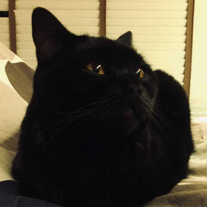 583917a2 d53d 4136 8458 32db67ae114a 1572009107492