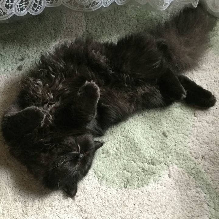 58396ca1 cc72 4799 bec4 5cce1a320f48 1511687305084