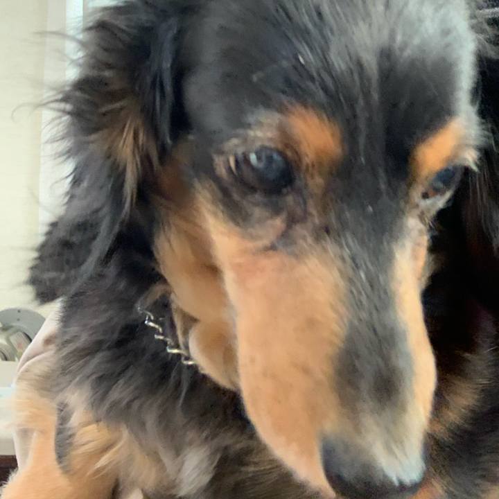 5839815c 3710 42fc b6f3 10d09c303ee8 1607121700431