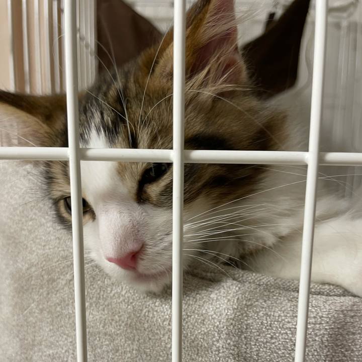 583995c2 e692 485d 8ebb f4a6578b6201 1632922827001