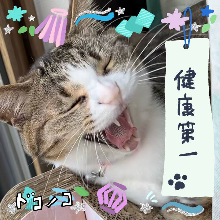 5839c59b 89eb 49e3 913d 4858fcc7f53f 1720830864421