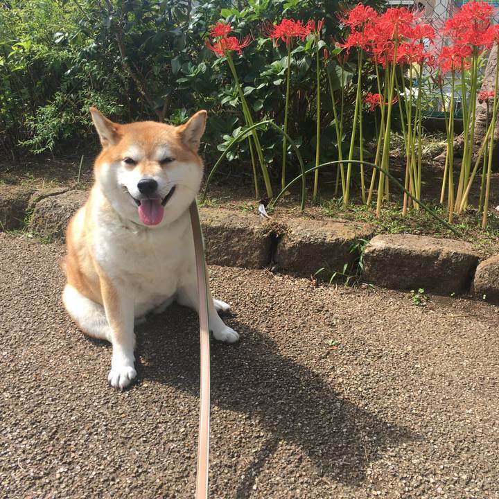 5839d176 be00 4400 952b 3c40bfd870f6 1601694275487