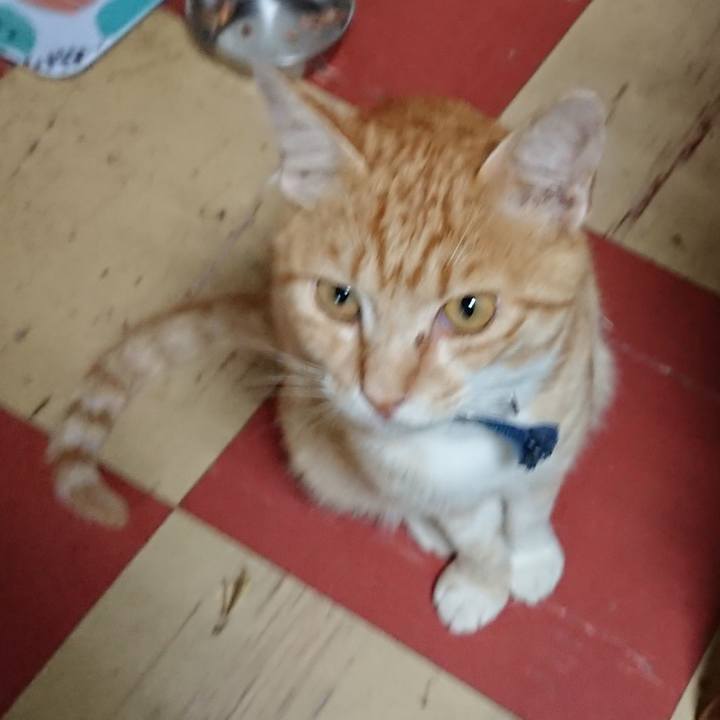 583a24b7 9fb3 461b bdc6 52e8b046c145 1562465333869