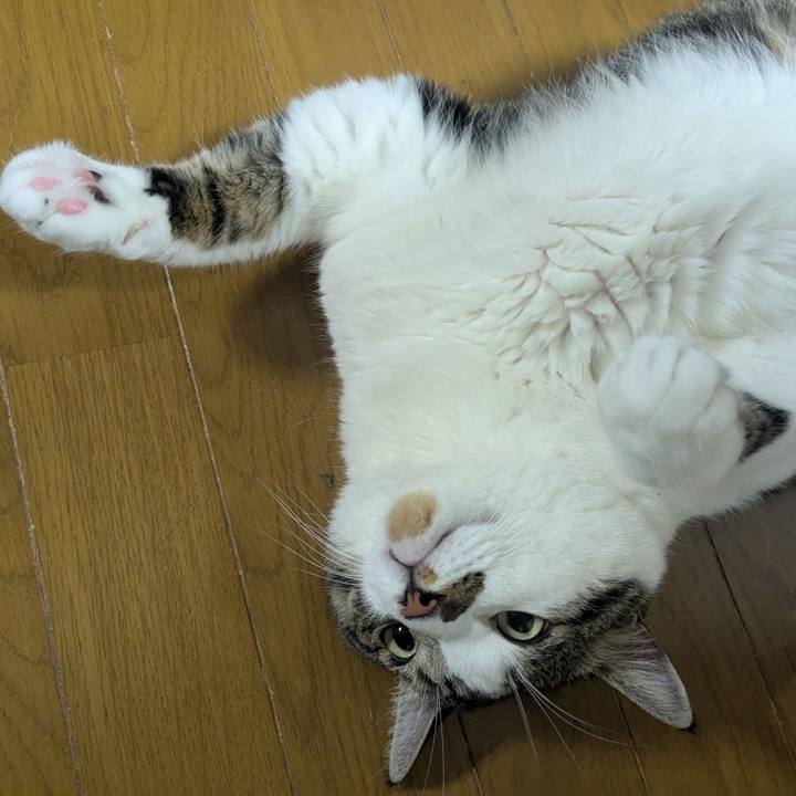 583a2ce1 1f9e 4814 b784 ccda68539396 1755907134890