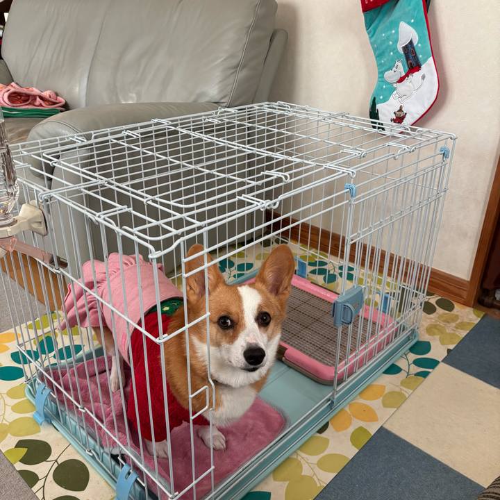 583a792f 222f 479c b81c a107d677d37b 1766472957214