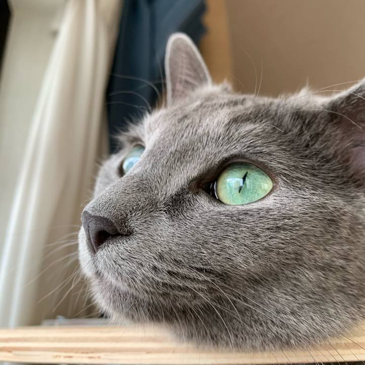 583aa493 2a26 43e6 846a aaf16664a4ec 1596588741617