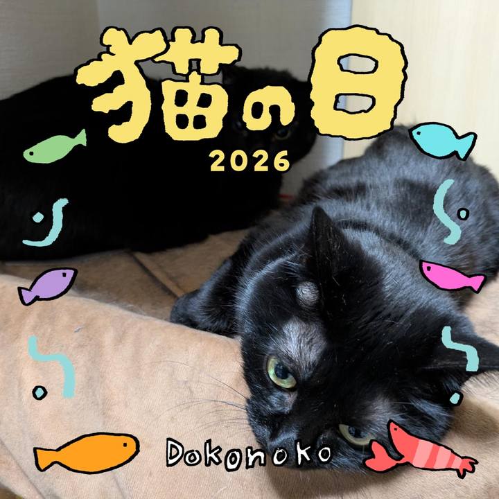 583b1959 7835 4eb6 b3cd 87f0c67cedea 1771788333833